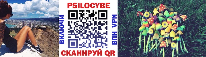 купить наркоту Альметьевск Псилоцибиновые грибы мухоморы