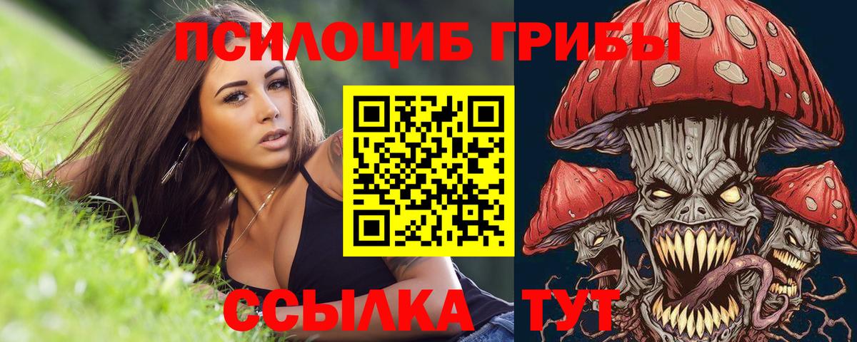 Галлюциногенные грибы MAGIC MUSHROOMS  Альметьевск  Псилоцибиновые грибы Cubensis 