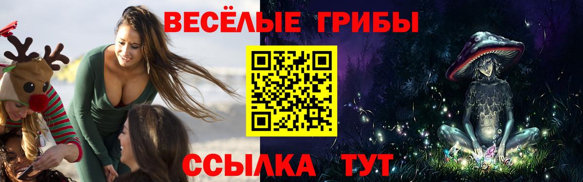 Псилоцибиновые грибы GOLDEN TEACHER Альметьевск